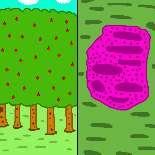 The left image shows a beautiful forest with red apples and a blue sky with clouds above it. The right shows a purple pond, indicative of poison. Nature versus industry is one of many story themes in fantasy.