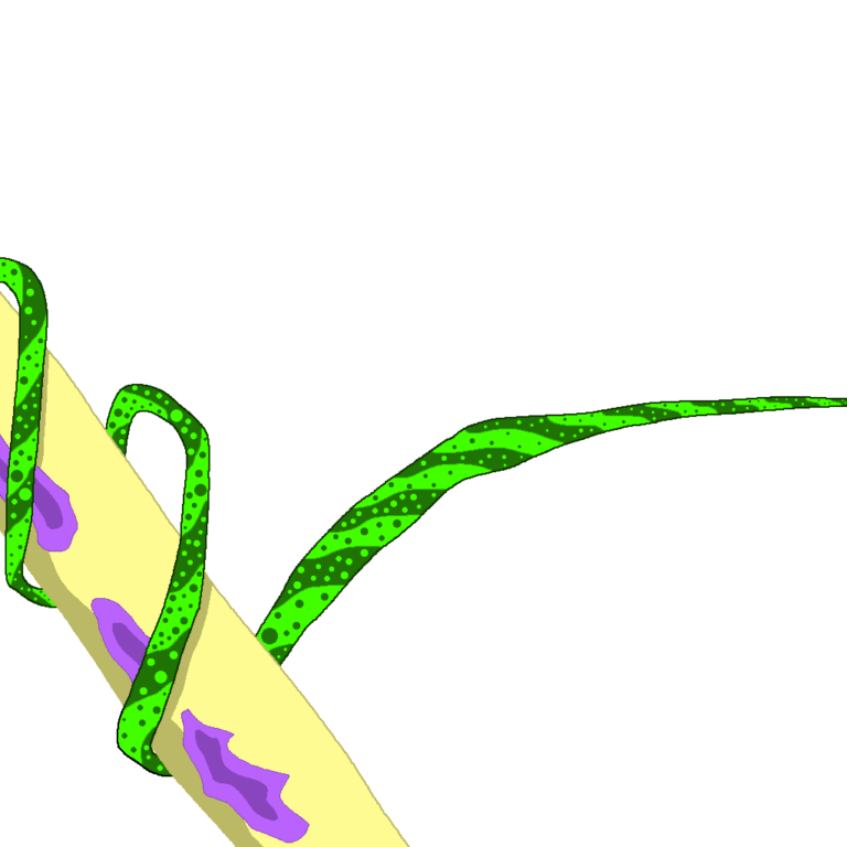 Using the power of forest magic, this plant emerged out of nowhere to heal the arm, which has three purple poisonous spots. The plant has alternating colors of light and dark green with many spots on each. It's wrapping itself around the arm to heal the afflicted area. The plant is coming from the right, as from a wand just outside the image.